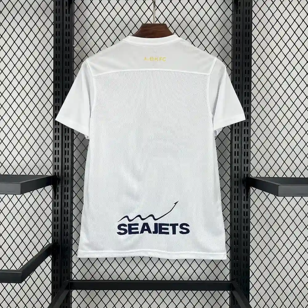 2025 2026 aek athens second away soccer jersey 2