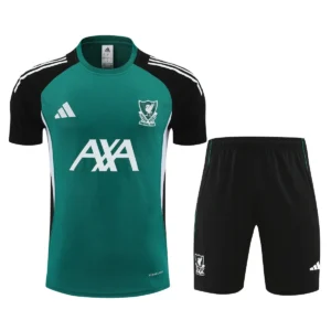 2025 2026 liverpool short sleeve training suit football shirt 1