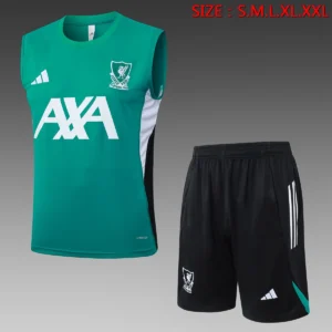 2025 2026 liverpool training suit vest football shirt 1