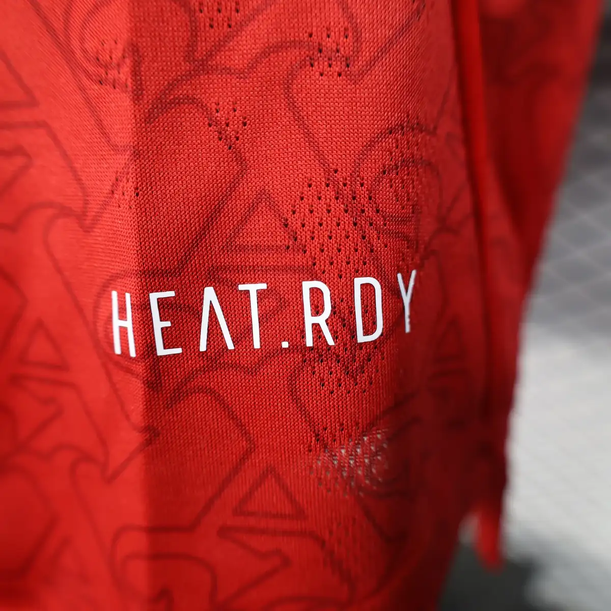 2025 2026 long sleeve player arsenal home football shirt 10