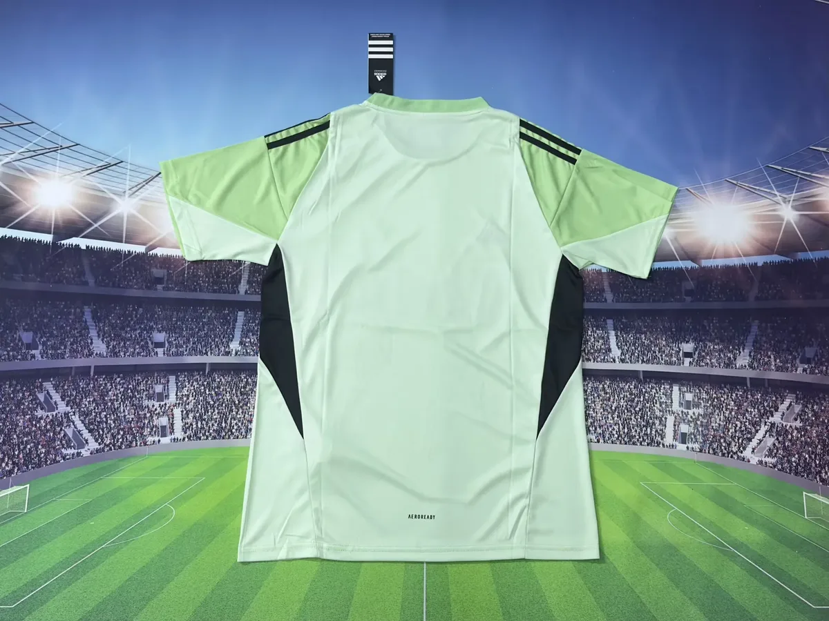 2025 2026 newcastle united goalkeeper soccer jersey 2
