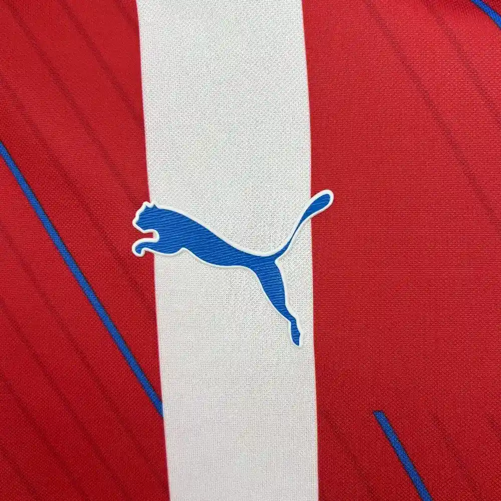2025 2026 paraguay national team home football shirt 4