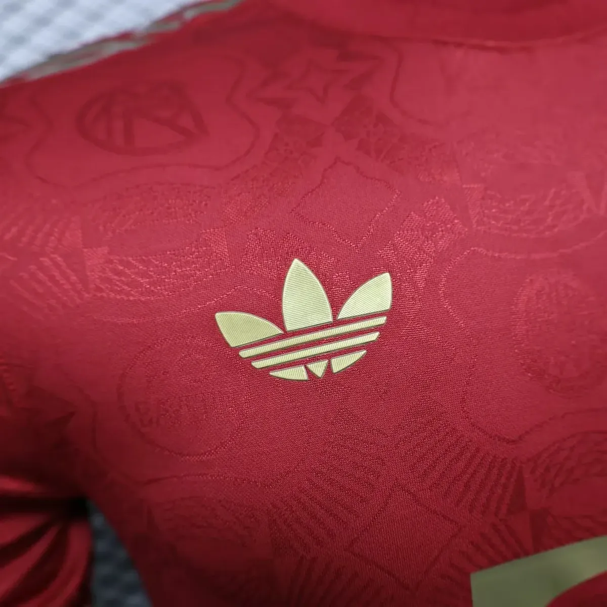 2025 2026 player bayern munich 125th anniversary football shirt 4