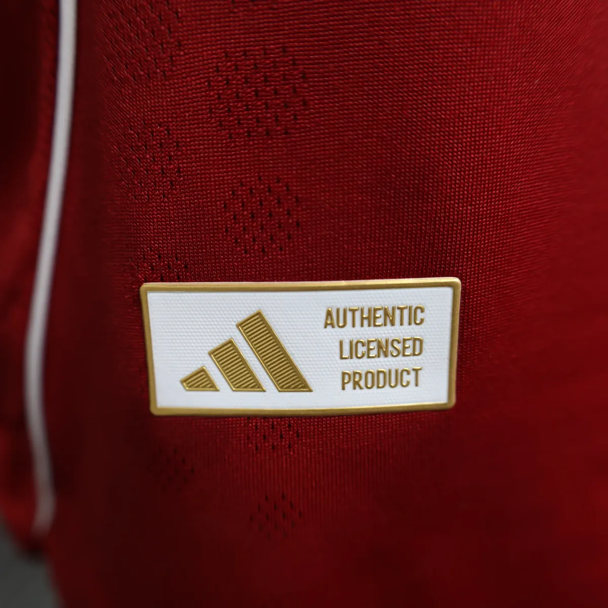 2025 2026 player liverpool home soccer jersey 10