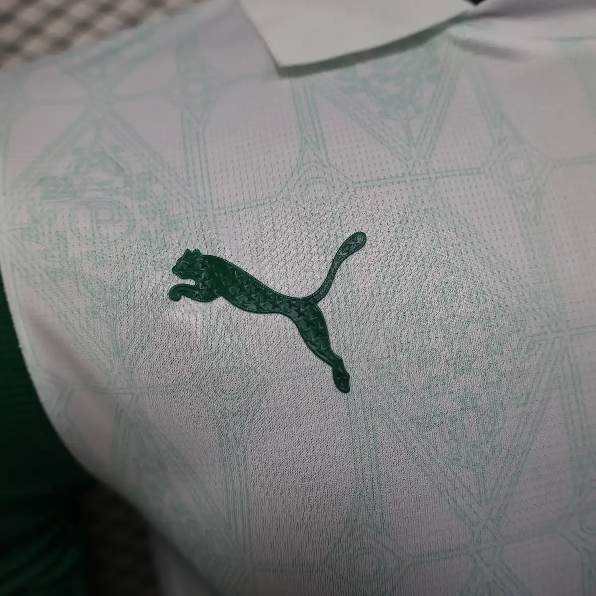 2025 2026 players palmeiras away soccer jersey 5