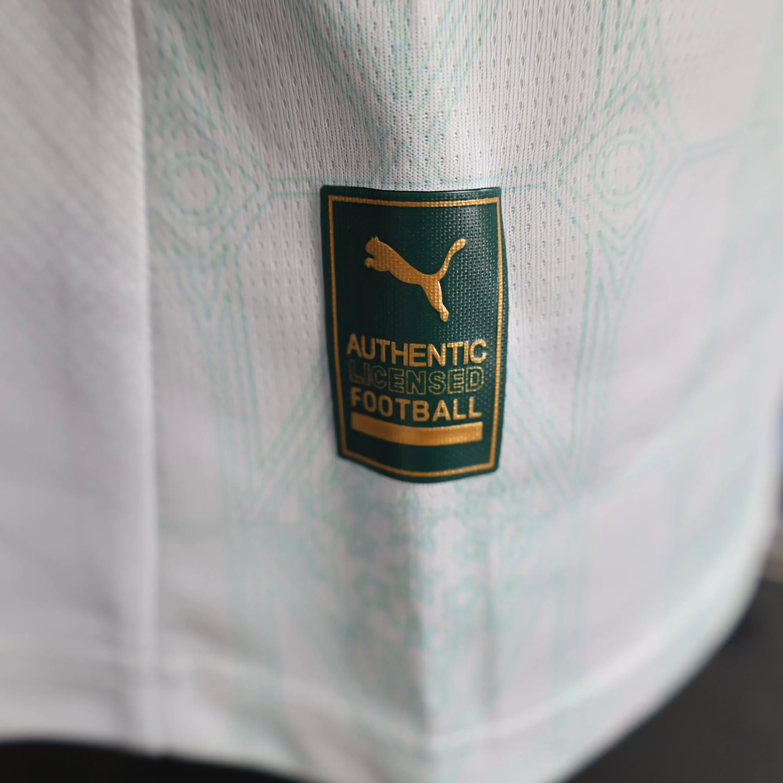 2025 2026 players palmeiras away soccer jersey 9