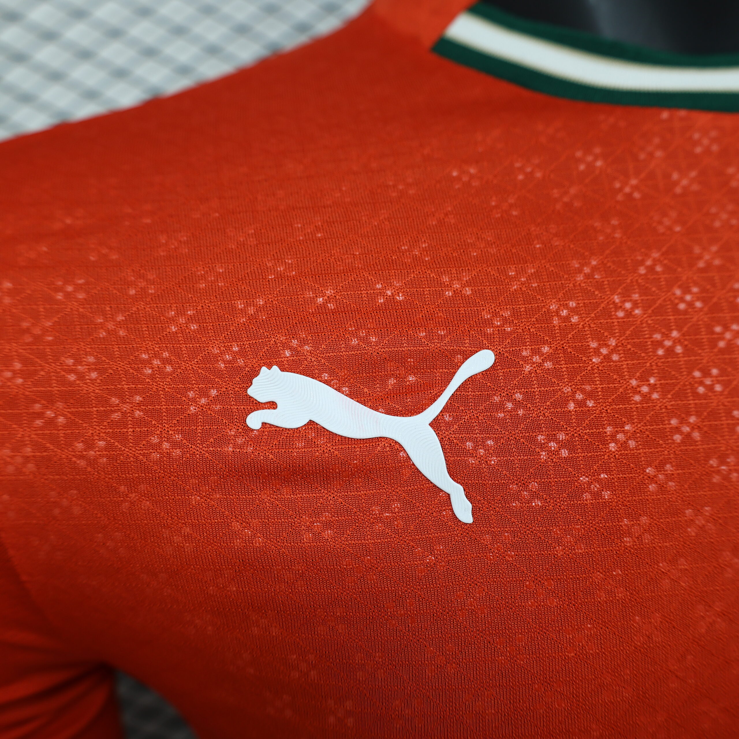 2025 Player Version Long Sleeve Portugal Home Football Shirt 1:1 Thai Quality - Image 5