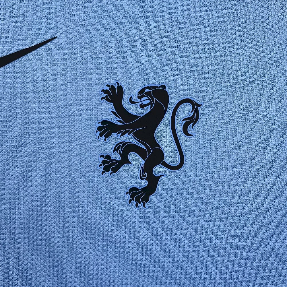 2026 Netherlands National Team Away Football Shirt 1:1 Thai Quality - Image 5