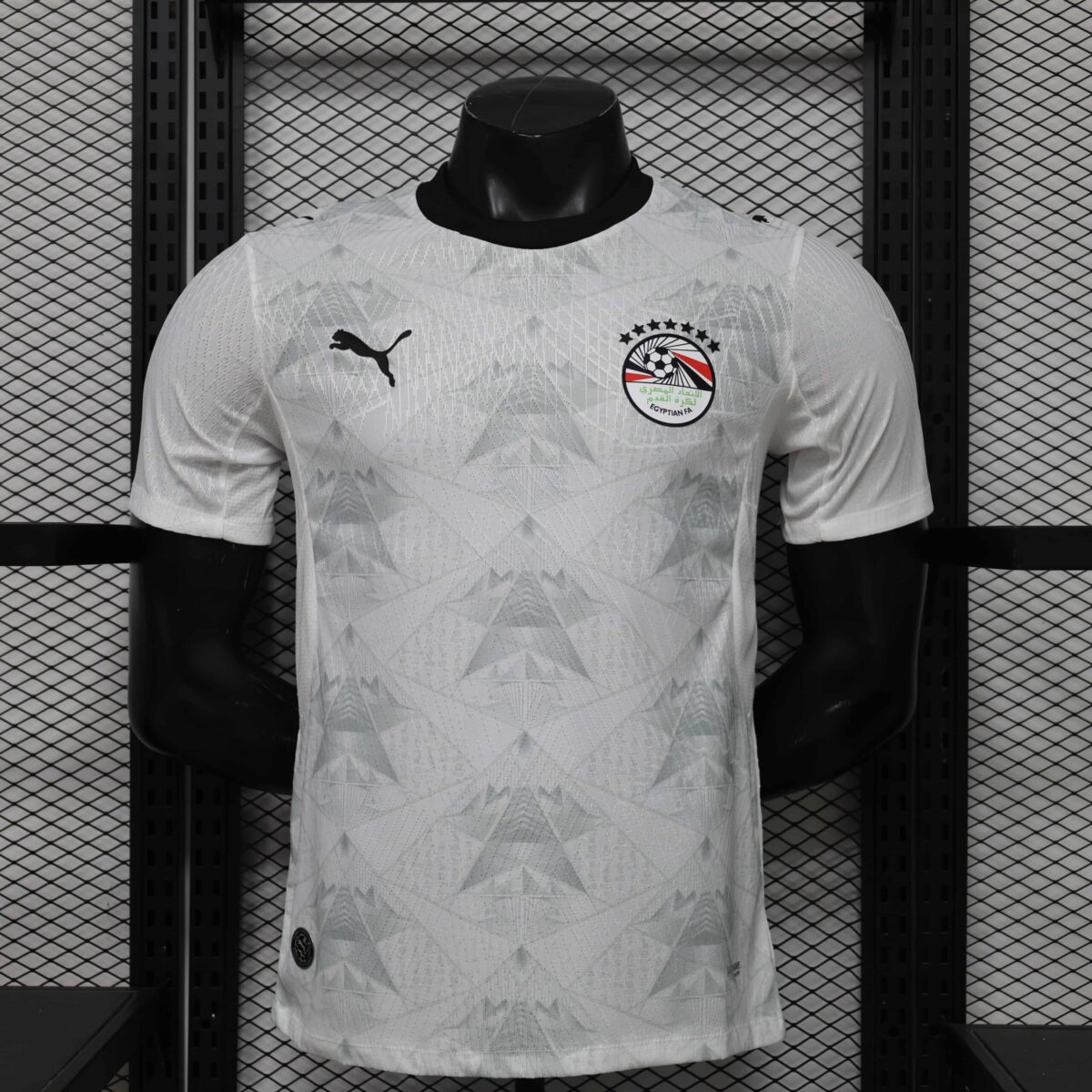 2026 Player Egypt National Team Away Football Shirt