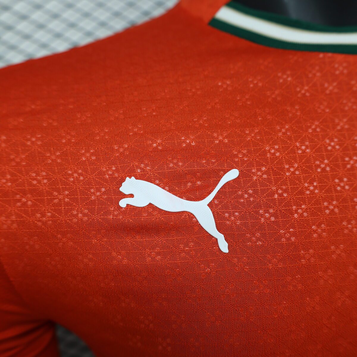 2025 Player Version Long Sleeve Portugal Home Football Shirt 1:1 Thai Quality - Image 5