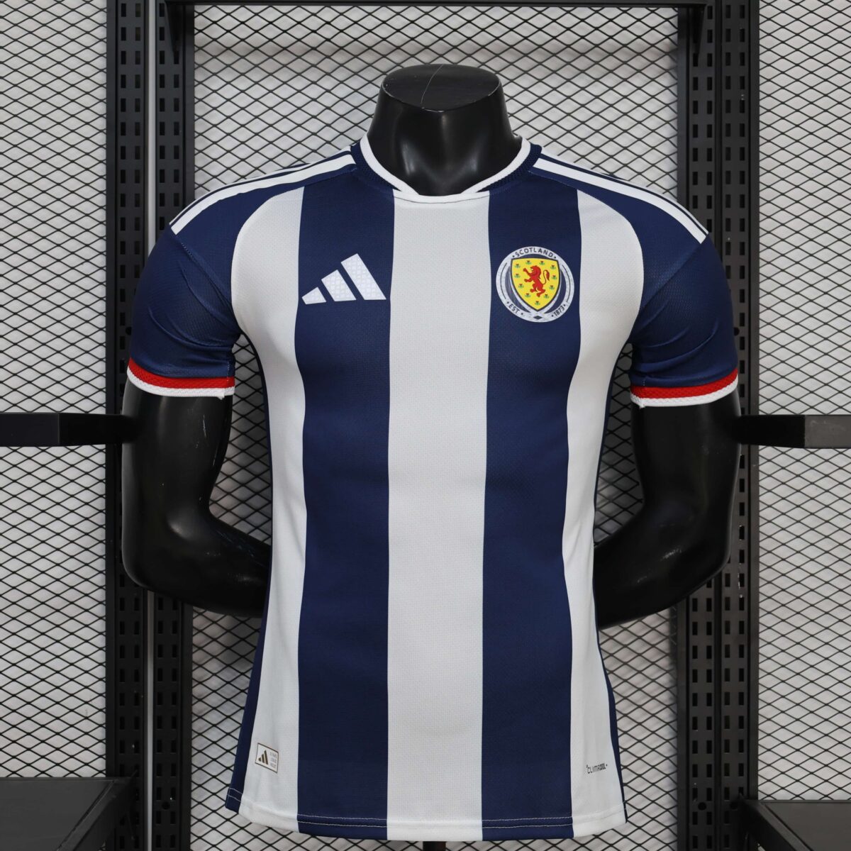 2026 Player Wales Special Edition Football Shirt