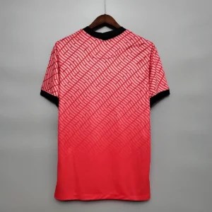 2020 korea soccer jersey home 2