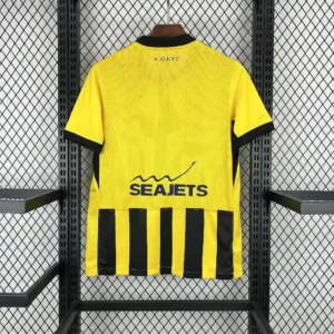 2025 2026 aek athens home soccer jersey 2