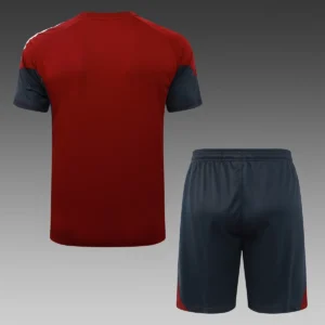 2025 2026 arsenal short sleeve training suit football shirt 2