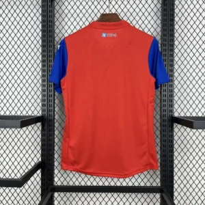 2025 2026 bahia special edition football shirt 2