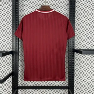 2025 2026 bayern munich special edition football shirt 2