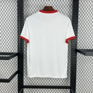 2025 2026 benfica anniversary edition football shirt 2