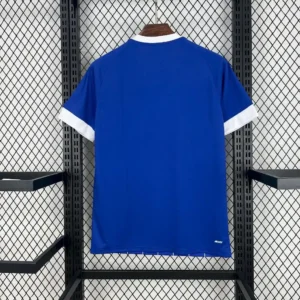 2025 2026 cardiff city home football shirt 2