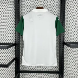2025 2026 fc palmeiras away jersey 2