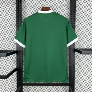 2025 2026 fc palmeiras home soccer jersey 2