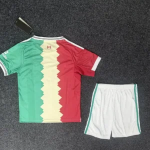 2025 2026 kids liverpool special edition soccer jersey 2