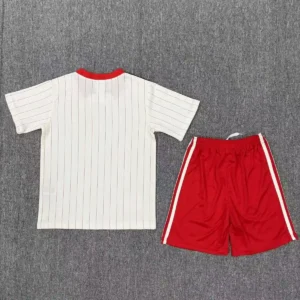 2025 2026 kids size benfica special edition football shirt 2