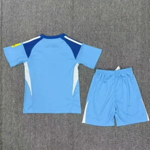 2025 2026 kids size newcastle united goalkeeper football shirt blue 2