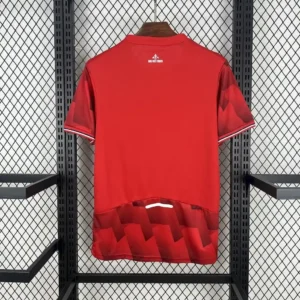 2025 2026 lille home football shirt 2