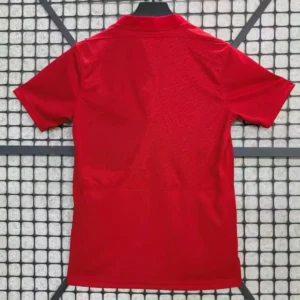 2025 2026 liverpool commemorative edition football shirt 2