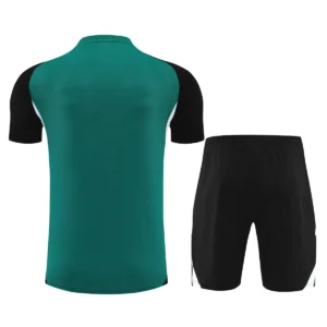 2025 2026 liverpool short sleeve training suit football shirt 2