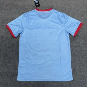 2025 2026 napoli christmas special edition football shirt 2