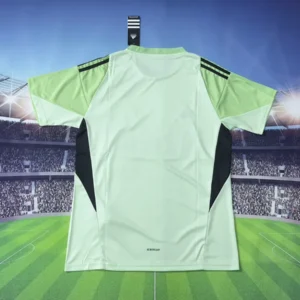 2025 2026 newcastle united goalkeeper soccer jersey 2