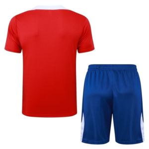 2025 2026 paris saint germain training wear red set shirt kids size 2