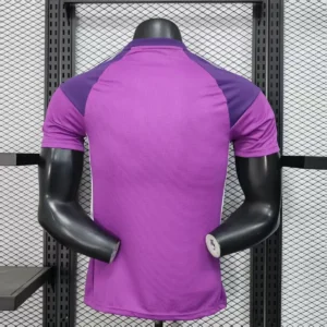 2025 2026 player argentina special soccer jersey 2