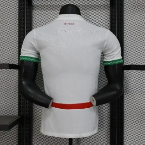 2025 2026 player morocco national team away football shirt 2