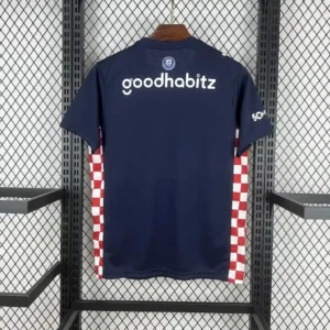 2025 2026 psv eindhoven away football shirt 2