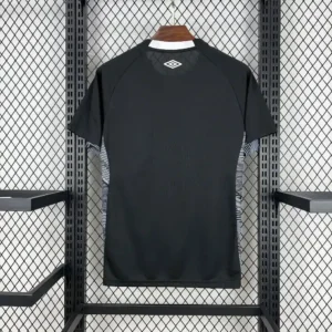 2025 2026 santos goalkeeper football shirt 2