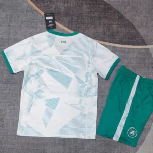 2025 kids size ireland away soccer jersey 2
