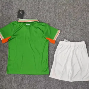 2025 kids size ireland home soccer jersey 2