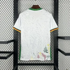2026 cameroon third away football shirt 2