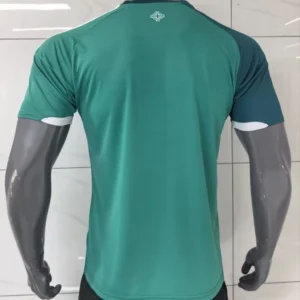 2026 player northern ireland 2026 world cup home football shirt 2