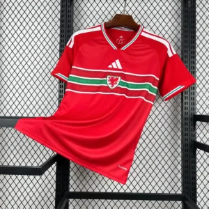 2026 wales world cup home football shirt 1
