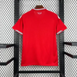 2026 wales world cup home football shirt 2