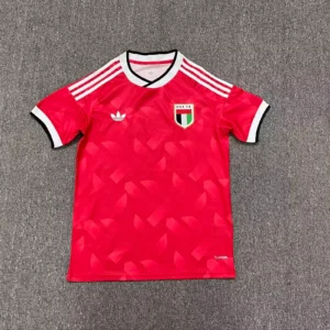 2026/2027 United Arab Emirates National Team Away Football Shirt 1:1 Thai Quality